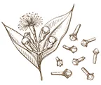Nava Mani Enterprises