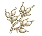 Nava Mani Enterprises